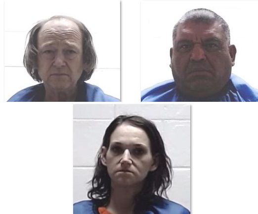 Three arrested in Liberty drug busts, one suspect held for immigration ...