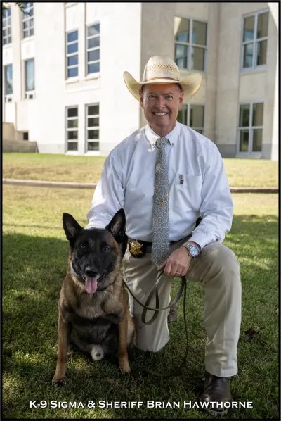 Bluebonnet Program For Math The Age: Potential unleashed in Chambers County’s K-9 program ...